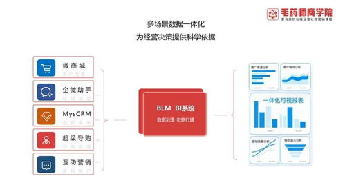 超级数字blm新商业操作系统